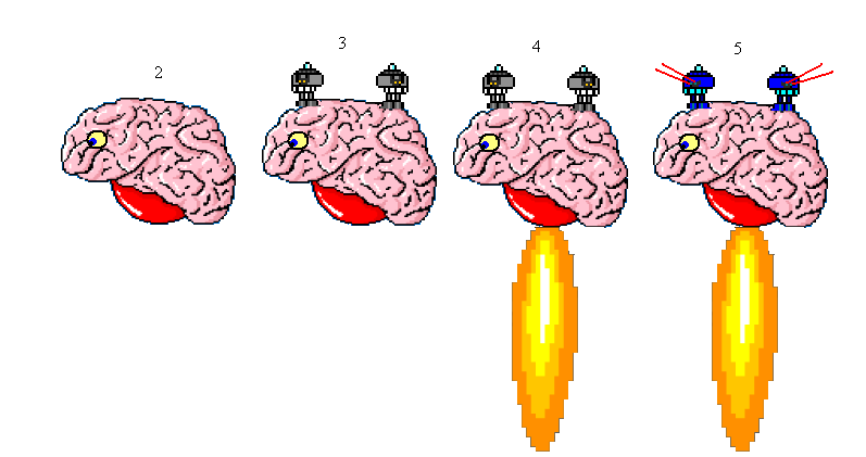 Image:Tampo Evolution 2.PNG