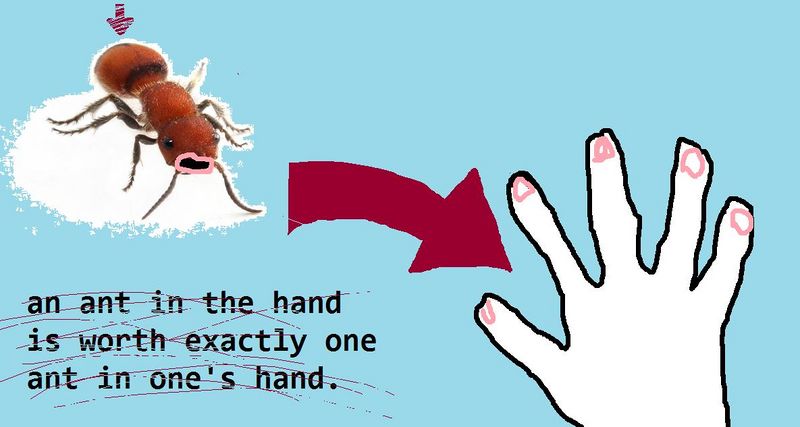 File:ant in ones hand.jpg